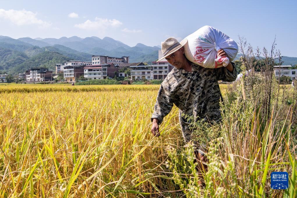澳门赌场游戏